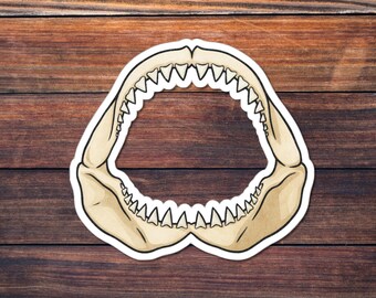 Shark Jaw Sticker, Skeleton Teeth Vinyl Decal, Fossil Shark Jaws Sticker for Laptop, Water Bottle, Journal, Marine Biology Gift