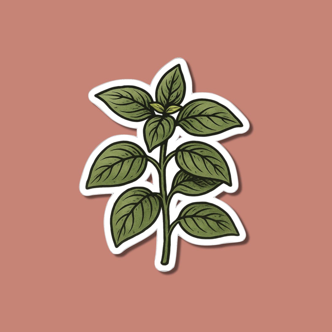 Basil Sticker, Culinary Herb Decal, Garden Plant Vinyl, Botanical ...