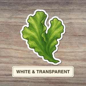 Sticker groene algen, zeesla mariene plant illustratie, oceaan botanische vinyl sticker voor laptops, tijdschriften, waterflessen