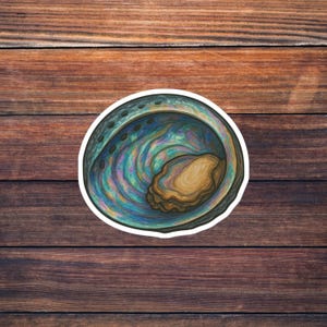 Abalone Shell Sticker, Iridescent Ocean Shell Vinyl Decal, Rainbow Sea Life Aesthetic, Colorful Coastal Decor
