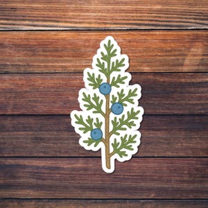 May include: A sticker featuring a stylized illustration of a juniper branch. The branch is brown with green leaves and three blue berries. The sticker is on a wooden background.