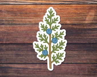 Juniper Sticker, Evergreen Shrub Decal, Aromatic Plant Vinyl, Botanical Nature Art, Garden Lover Gift, Waterproof Laptop Car Sticker
