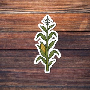 Corn Sticker, Autumn Harvest Maize Plant Illustration, Farm Fresh Vinyl Decal for Laptops, Water Bottles, Journals