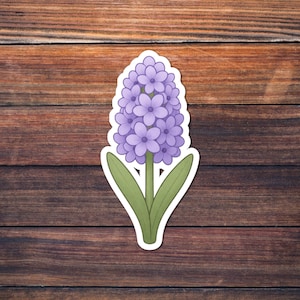 Può includere: Un adesivo con un'illustrazione stilizzata di un fiore di giacinto viola. Il fiore ha un gruppo di piccoli fiori a forma di campana e foglie verdi. L'adesivo ha un bordo bianco ed è posto su uno sfondo di legno.