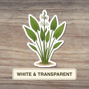 Sagittaria Sticker, Arrowhead Water Plant Illustration, White Flower Aquatic Greenery Vinyl Decal for Nature Journals, Notebooks, Tumblers