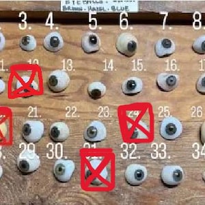 Prótesis oculares de la década de 1900. Elija individualmente, seleccione la(s) opción(es).