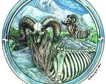 1988 Jerry Jasper Deadhead Zodiac Aries Decal ( new/old stock) 6&quot;