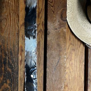 Real Feather Hat Band, Adjustable, Western Cowboy Hatband made from real feathers  Feathered Hat Band (hat not incl)