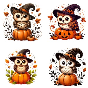 Adorable Halloween Owl on Pumpkin PNG Design Bundle | Cute Witch Owl Clipart for Halloween Crafts and Decor | Fall Season Spooky Owl PNG Set