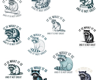 It Is What It Is Raccoon PNG, Funny Trash Panda Clipart, Sad Raccoon Sublimation, Grunge Aesthetic Design, Instant Download