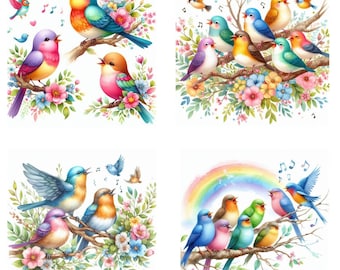Kleurrijke vogels png-afbeeldingsset | Schattige vogelillustraties | Digitale vogelkunst voor knutselen, knutselen, scrapbooking en woondecoratie