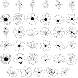 Florales Linie Kunst-Svg-Bundle, handgezeichnete Blume Clipart, minimalistische botanische Illustration, schwarz-weißer floraler digitaler Download