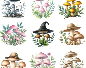Whimsical Mushroom PNG Clipart Set | Botanical Forest Mushrooms | Digital Download for Crafts, DIY Projects, and Decor Ar