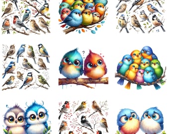 Kleurrijke vogels png-afbeeldingsset | Schattige vogelillustraties | Digitale vogelkunst voor knutselen, knutselen, scrapbooking en woondecoratie