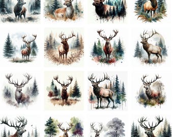 Majestätisch Wald Hirsch Clipart Bundle | Hochauflösende Aquarell Hirsch Illustrationen | Von der Natur inspirierte Wildtier-Kunst für Wohnkultur & Kunsthandwerk