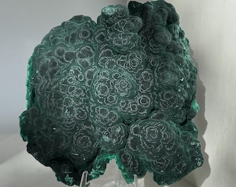 May include: A dark green malachite mineral specimen featuring a botryoidal, bubbly surface texture with concentric circular patterns throughout. The cluster is displayed on a clear, transparent acrylic stand for support and visibility.