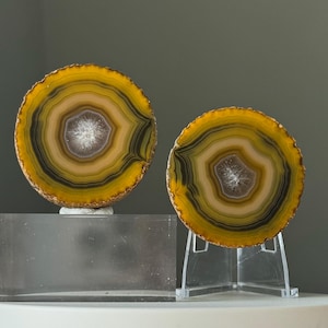 May include: Two circular agate slices featuring concentric bands of yellow, gold, and dark brown hues. Each slice has a crystalline center and is displayed upright on a clear acrylic stand, showcasing the natural mineral patterns and textures.