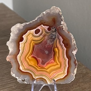 May include: A polished agate slice with concentric bands of color. The center is a deep maroon, surrounded by layers of orange, yellow, and peach hues. The outer edge is a light gray with a crystalline texture. The agate is displayed on a clear stand.