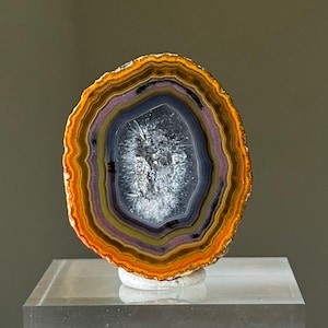 May include: A circular agate slice featuring concentric bands of orange, yellow, brown, and purple surrounding a central cavity filled with sparkling, translucent white quartz crystals. The specimen is mounted upright on a small, clear acrylic base.