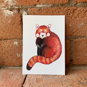 Peinlicher roter Panda Postkarte A6