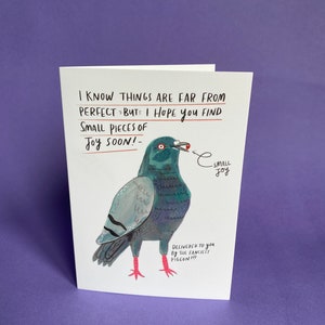 I know things are far from perfect - Pigeon thinking of you card A6 Greeting card -  Bird animal illustration