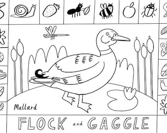 Printable Bird Colouring Sheets - Flock and Gaggle, mandarin duck, mallard and great Tit, Download