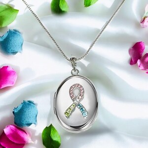 Puede incluir: Un collar con un medallón ovalado plateado. El colgante presenta un diseño de cinta colorida hecho de piedras preciosas rosas, verdes y azules. El collar se exhibe sobre una superficie de satén blanco, rodeado de pétalos de flores y hojas.
