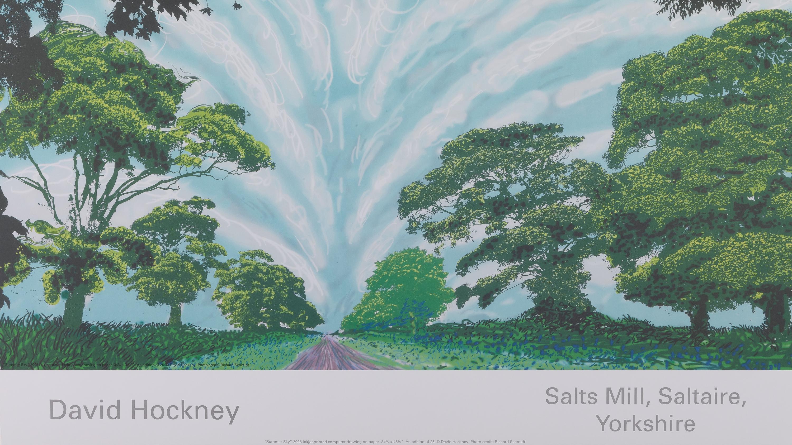 David Hockney: Summer Sky - Original Color Poster - Etsy