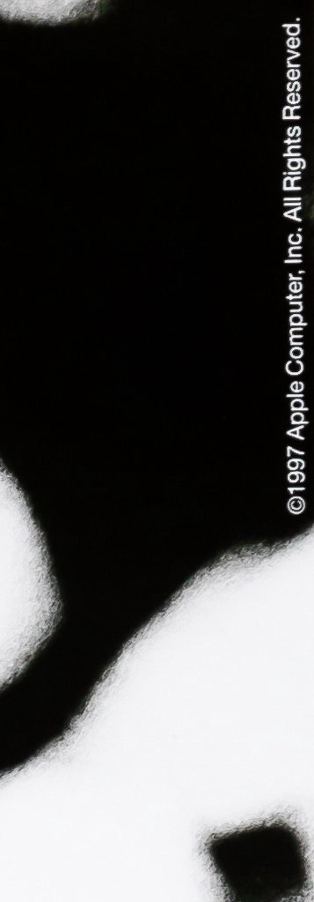 APPLE Think Different: Joan BAEZ - Poster - Etsy