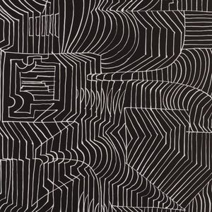 May include: Abstract black and white artwork featuring a complex pattern of intersecting lines and geometric shapes. The design includes curved and straight lines, creating a dynamic and visually engaging composition. The artwork has a modern aesthetic.