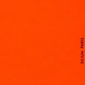 K&ouml;nnte beinhalten: Einfarbiger, leuchtend orangefarbener Hintergrund mit dem wei&szlig;en Text "SILIUM PARIS" vertikal rechts ausgerichtet. Das Bild ist ein Block in ges&auml;ttigtem Orange.