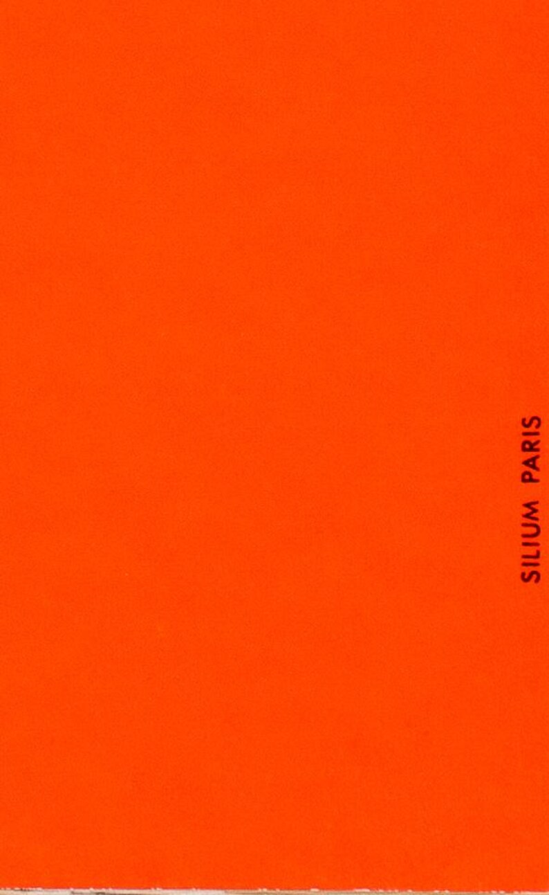 K&ouml;nnte beinhalten: Einfarbiger, leuchtend orangefarbener Hintergrund mit dem wei&szlig;en Text "SILIUM PARIS" vertikal rechts ausgerichtet. Das Bild ist ein Block in ges&auml;ttigtem Orange.