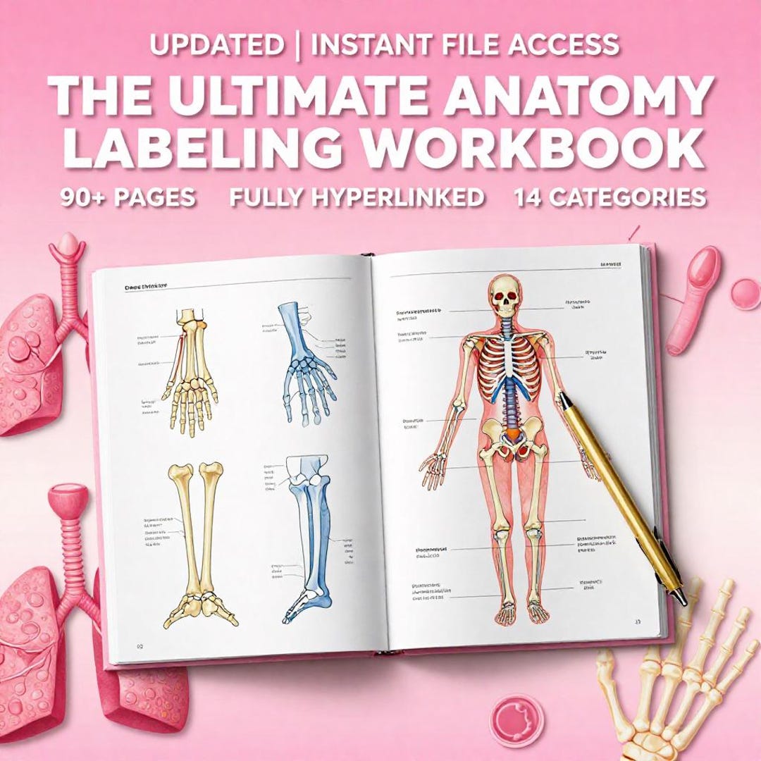 Human Anatomy Labeling Workbook | Interactive PDF Study Guide (digital ...
