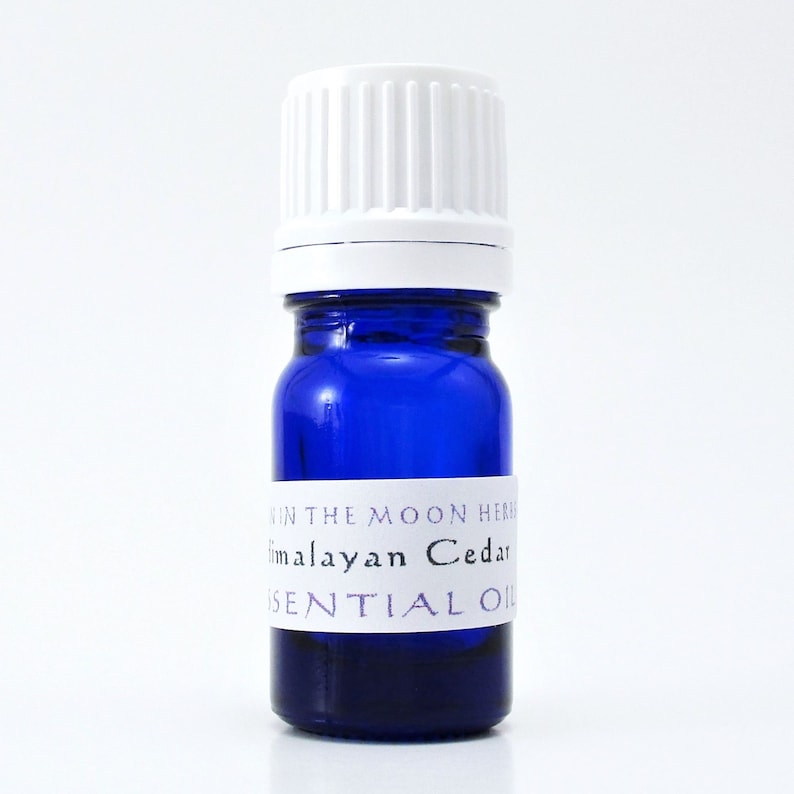 A blue glass bottle of Himalayan Cedar essential oil. The shape of the bottle is squat and the cap is ribbed and white. It is labeled Man in the Moon Herbs Himalayan Cedar Essential Oil.