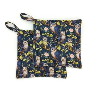 Owl Potholders, Set of 2 Blue Woodland Hot Mats