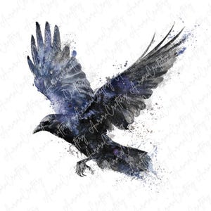 May include: Watercolor painting of a raven in flight, with wings spread wide. The bird is depicted in shades of black, gray, and blue, with a splash effect around the wings. The artwork has a detailed, artistic style.