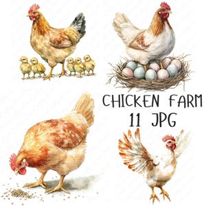 11 Cliparts de Fazenda de Galinhas, Ovos de Galinhas em Aquarela, Cliparts de Galinhas em Aquarela, Artesanato de Berçário de Galinhas Fofas, Download Digital JPG de Alta Qualidade