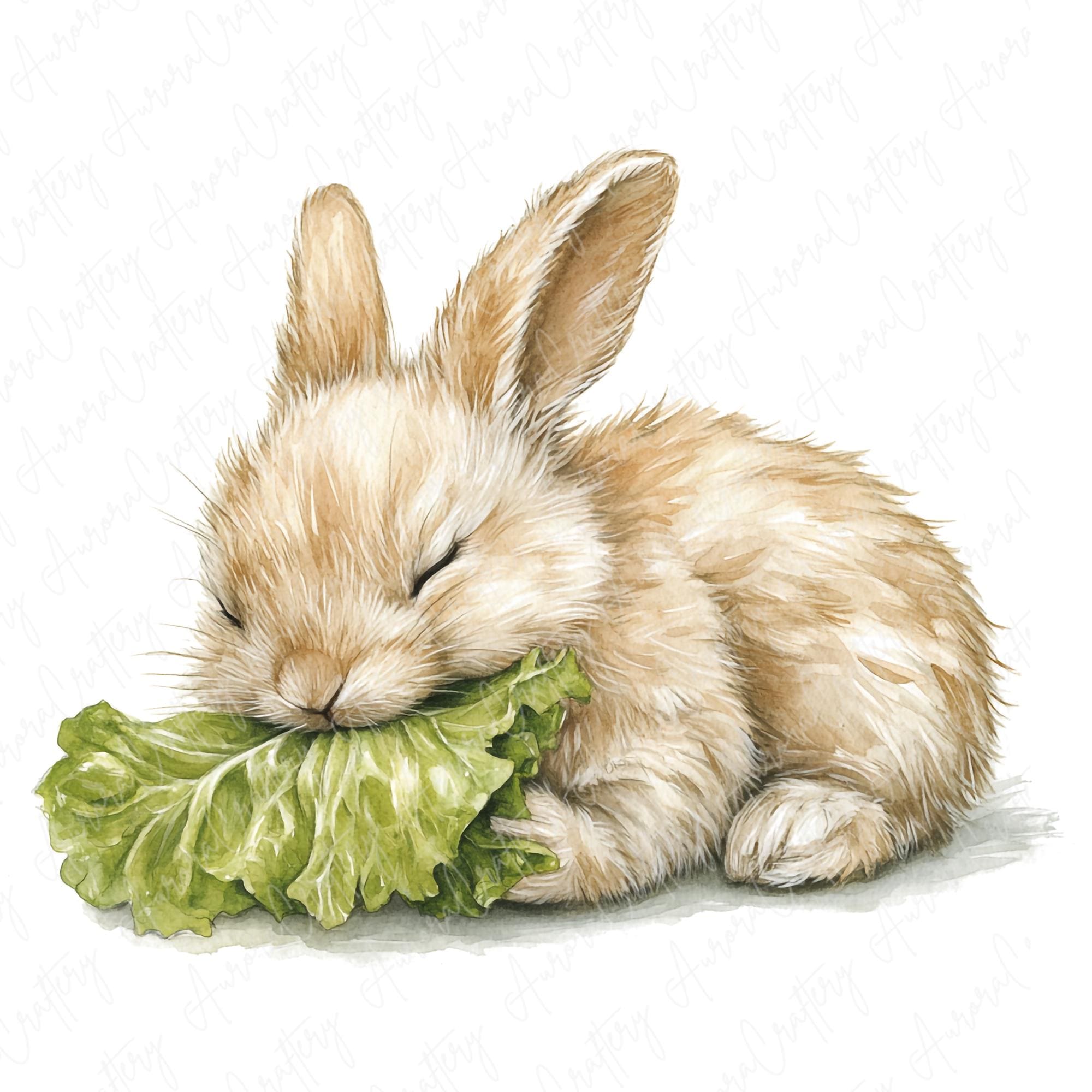 Hand Drawn Rabbit Eating 10 Watercolor Rabbit Eating Clipart, Cute Bunny Eating Carrot and ...