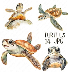 14 akwarelowych żółwi morskich Clipart, słodkie małe żółwie Clipart, oceaniczne zwierzęta Clipart, morskie życie Clipart Paper Crafts, wysokiej jakości pobieranie JPG