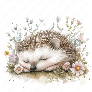 A collection of 9 watercolor hedgehog clipart images, featuring hedgehogs in floral woodland settings, perfect for nursery decor and woodland-themed projects.