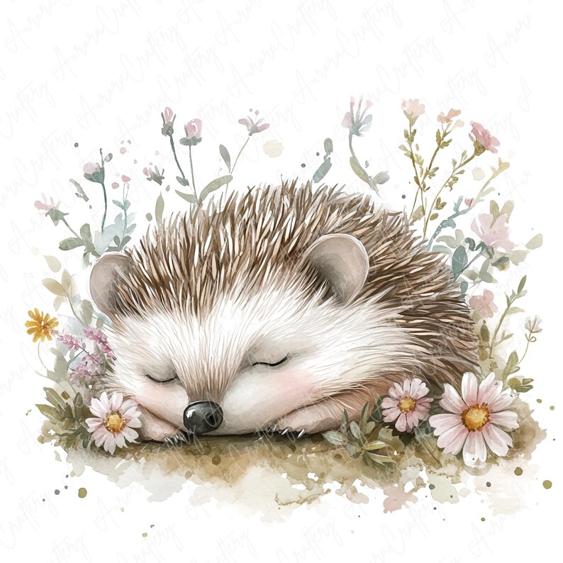 A collection of 9 watercolor hedgehog clipart images, featuring hedgehogs in floral woodland settings, perfect for nursery decor and woodland-themed projects.