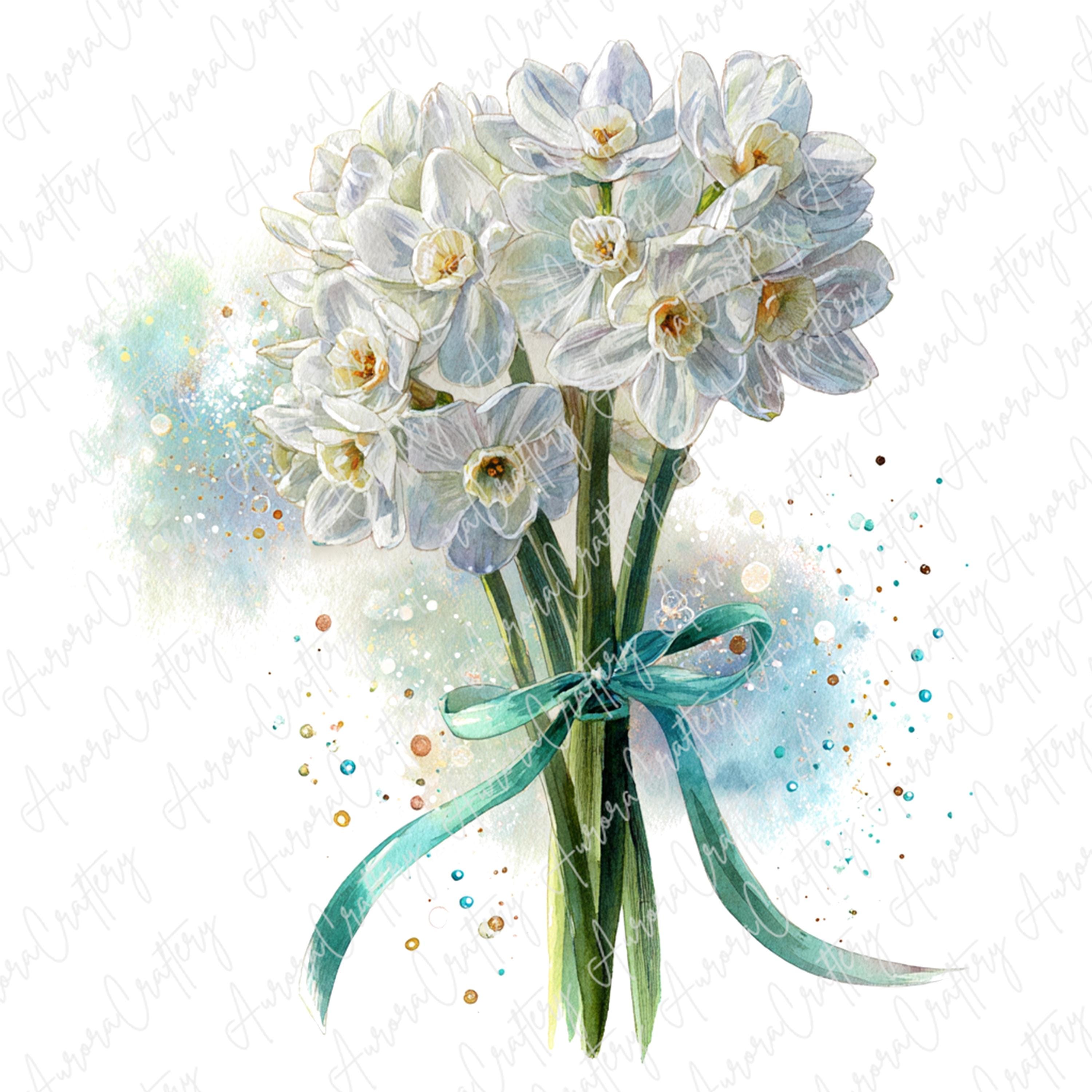 7枚の水彩画、白紙の白い水仙の花のクリップアート、春の花のイラスト
