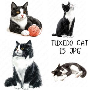 15 Clipart de gato de smoking em aquarela, gatos de smoking brincalhões, gato preto e branco fofo, clipart de gato para artesanato em papel, download de JPG de alta qualidade