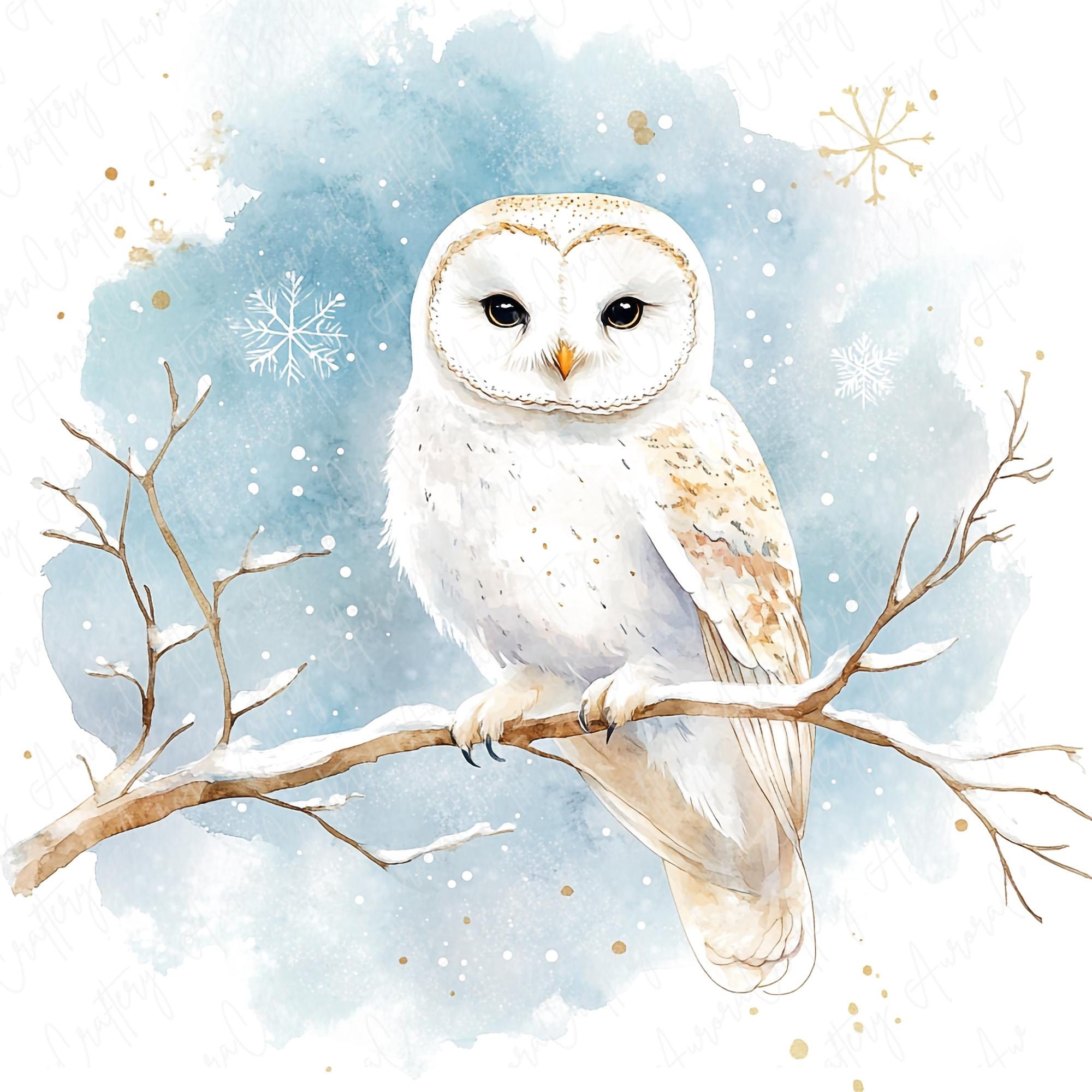 6 Watercolor Winter Owl Clipart, Snowy Woodland Owl, Festive White Owl ...
