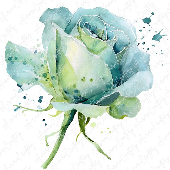 o o mi 6 Abstract Mint Rose Clipart, Watercolor Green Floral Clipart for