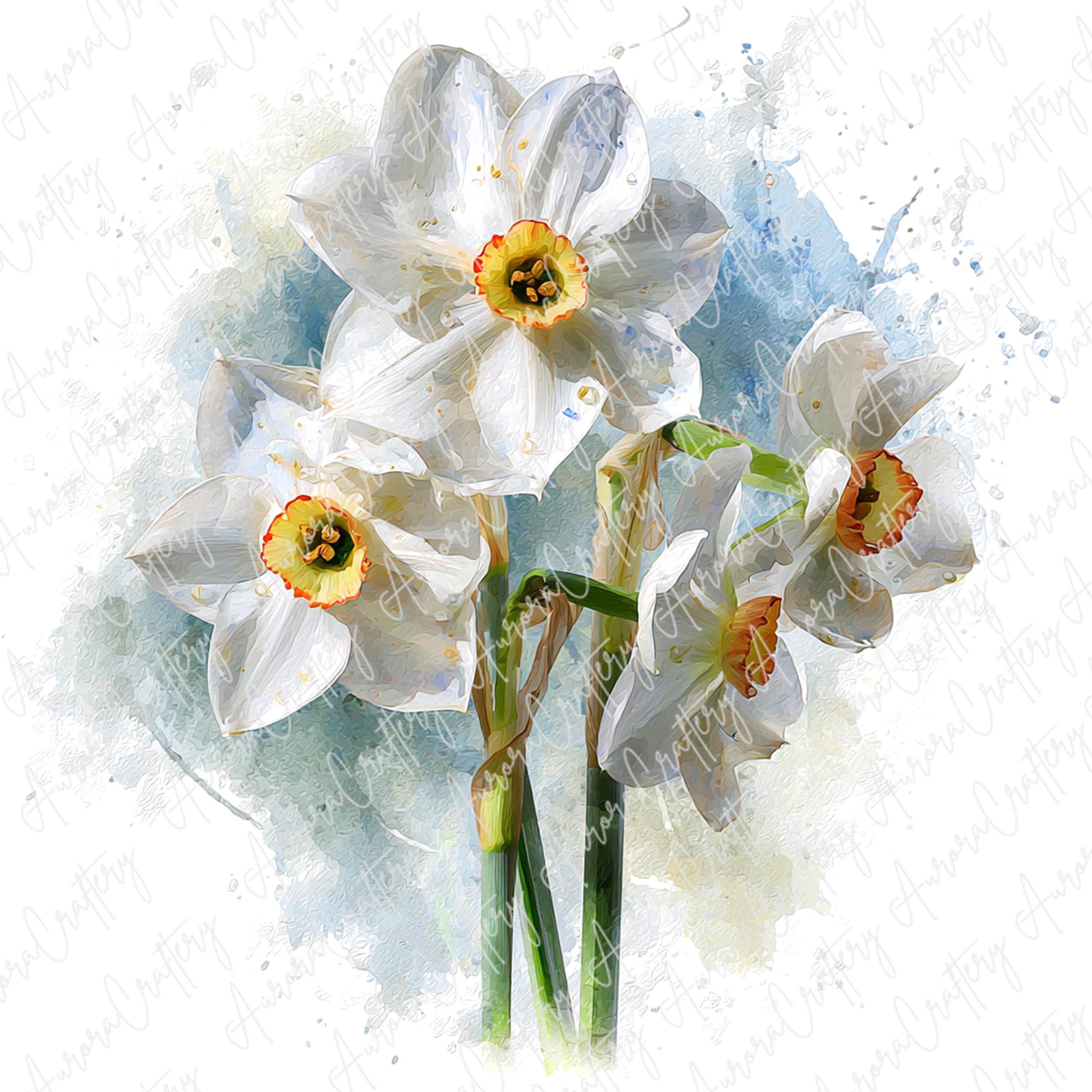白いカラー　水彩画 il_fullxfull.7342375391_r1pg.jpg