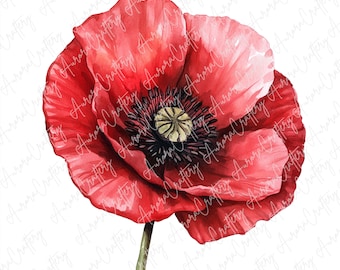 6 Watercolor Red Poppy Flower Clipart, Bright Botanical Blooms for Invitations, Crafts & Floral Decor, High Quality JPG