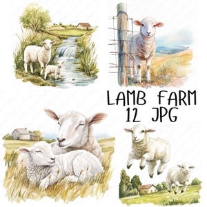 12 Lamm Bauernhof Aquarell Clipart Lamm Clipart, Bauernhof Clipart, Bauernhof Tier Clipart, süßes Lamm Kinderzimmer Clipart, hoher Qualität JPG Download
