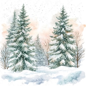 8 Clipart di alberi invernali ad acquerello, Clipart di paesaggi forestali innevati, Clipart di pini festosi, Clipart di foreste invernali, JPG di alta qualità