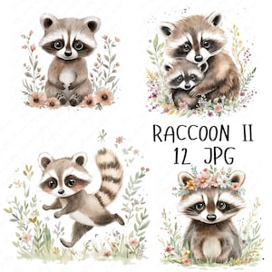 12 cliparts aquarelle de raton laveur, raton laveur des bois, clipart animal mignon de la forêt, clipart chambre d'enfant, créations Clipart imprimable, JPG de haute qualité